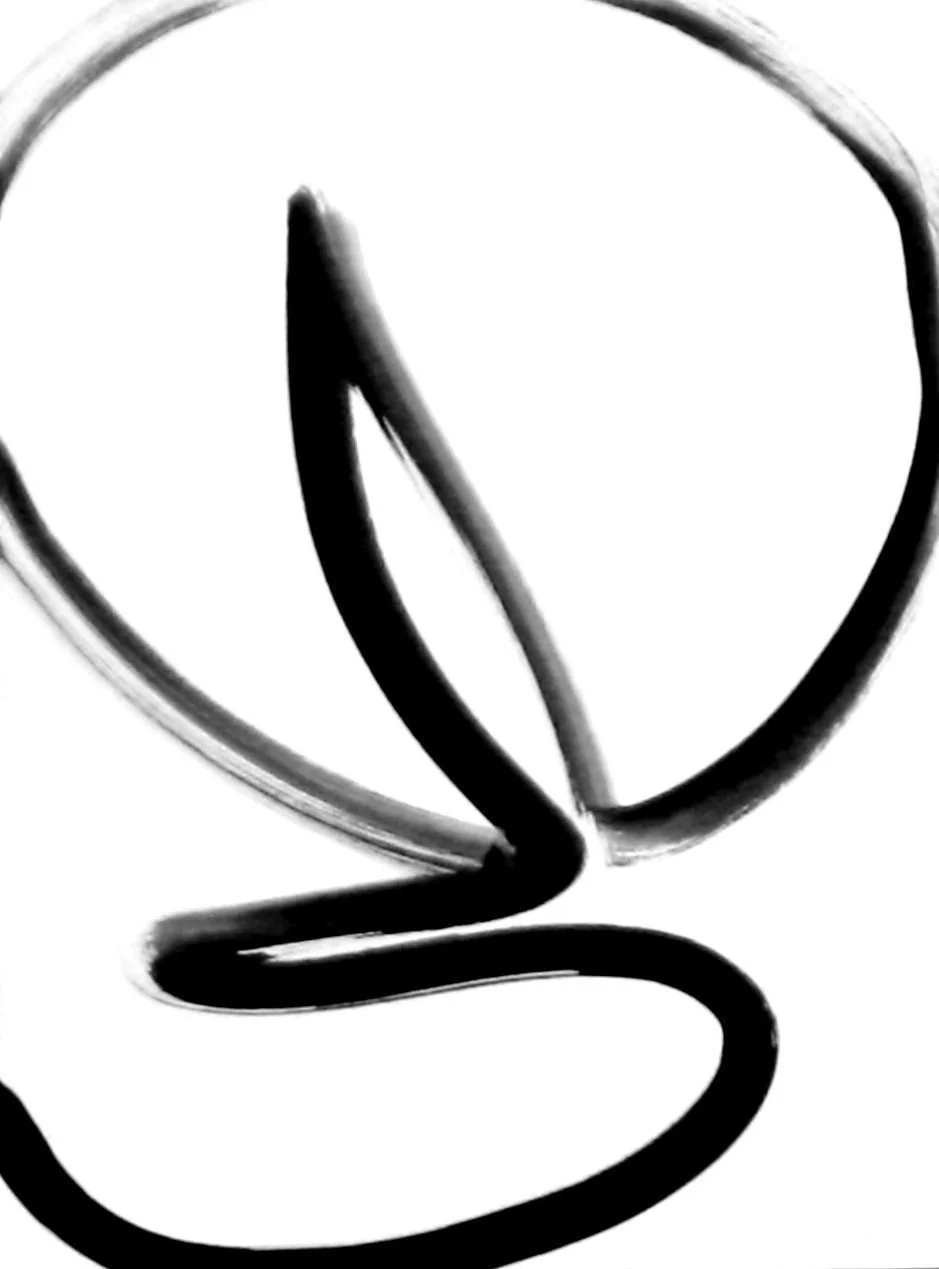 2c9f6d30-e0a7-11ee-8c9d-4175da2255f3-u7QZFYO.sm@2x.jpg