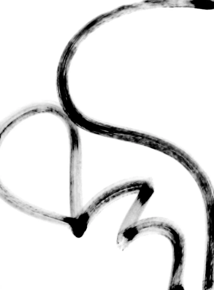 2f4734a0-e0a7-11ee-8c9d-4175da2255f3-u7QZGgR.sm@2x.jpg