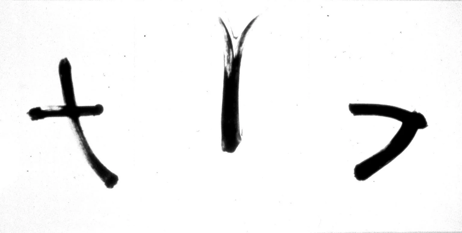 a96d3c60-e0a8-11ee-8c9d-4175da2255f3-u7Q1lbJ.sm@2x.jpg