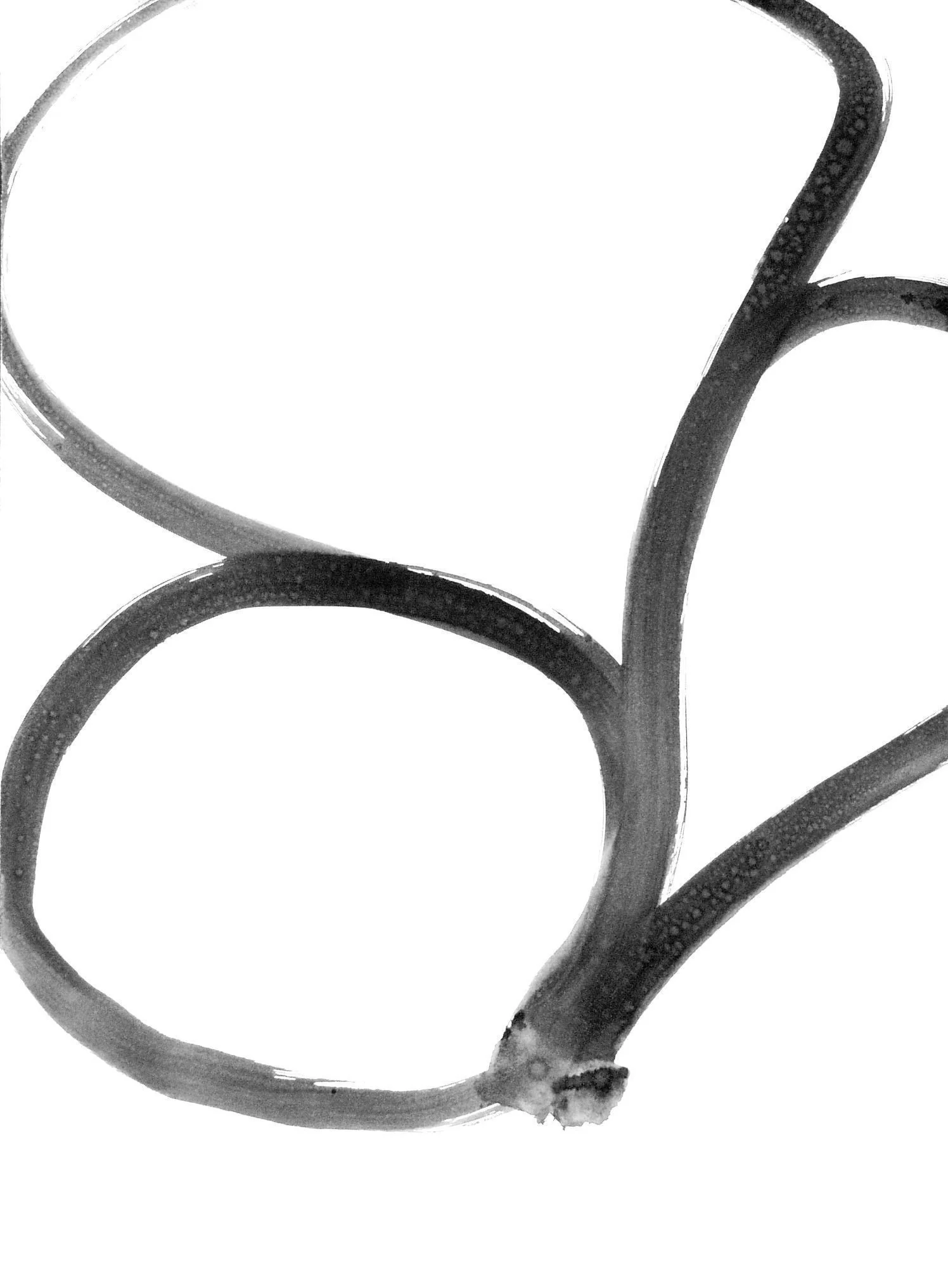 735ff4a0-e0a8-11ee-8c9d-4175da2255f3-u7Q1Ya4.sm@2x.jpg