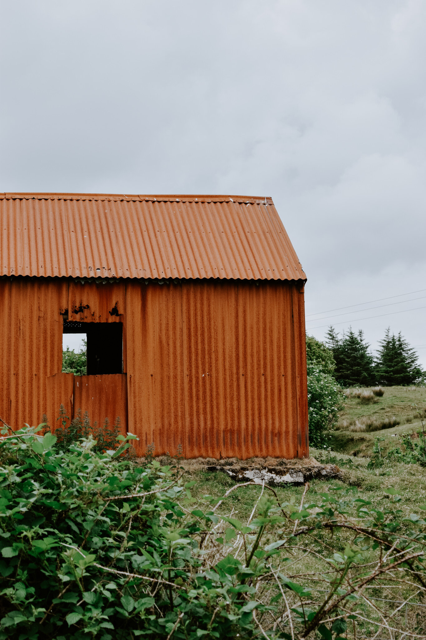 Tin shed III