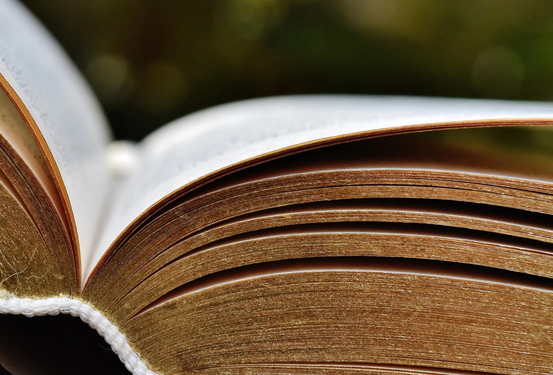 book-1738581_1920.jpg