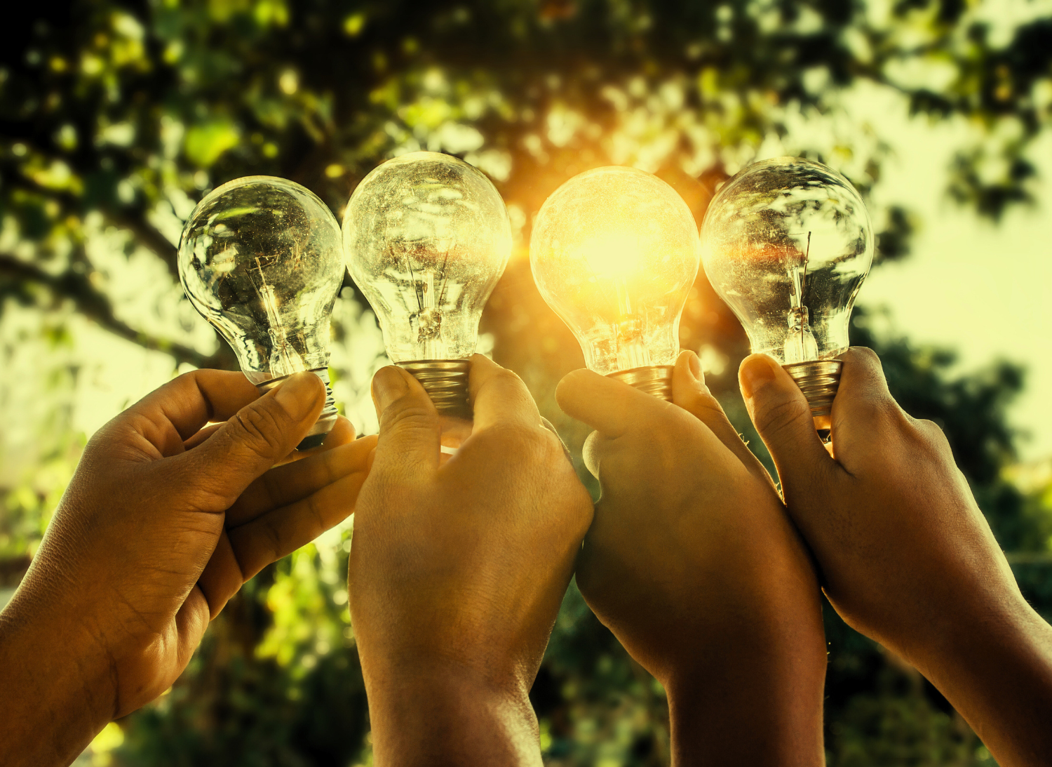 Annonce du Service de consultation sur les expériences vécues offert par le Réseau&nbsp;BRILLEnfant