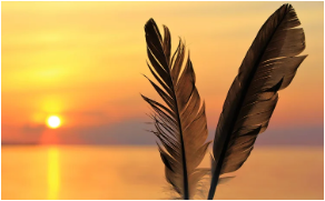 Image de deux plumes devant un couché de soleil.