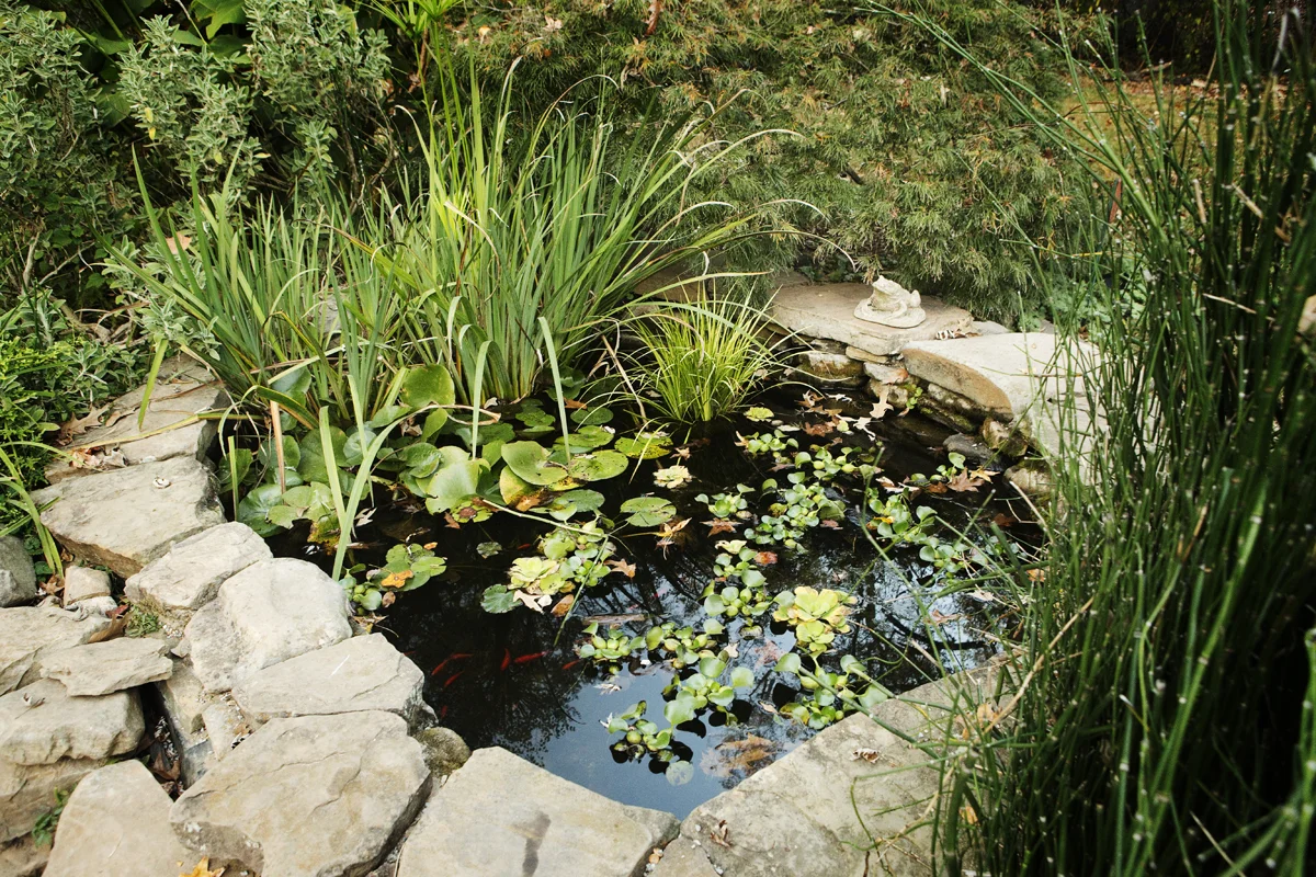 WebSize_WC_0647.jpg