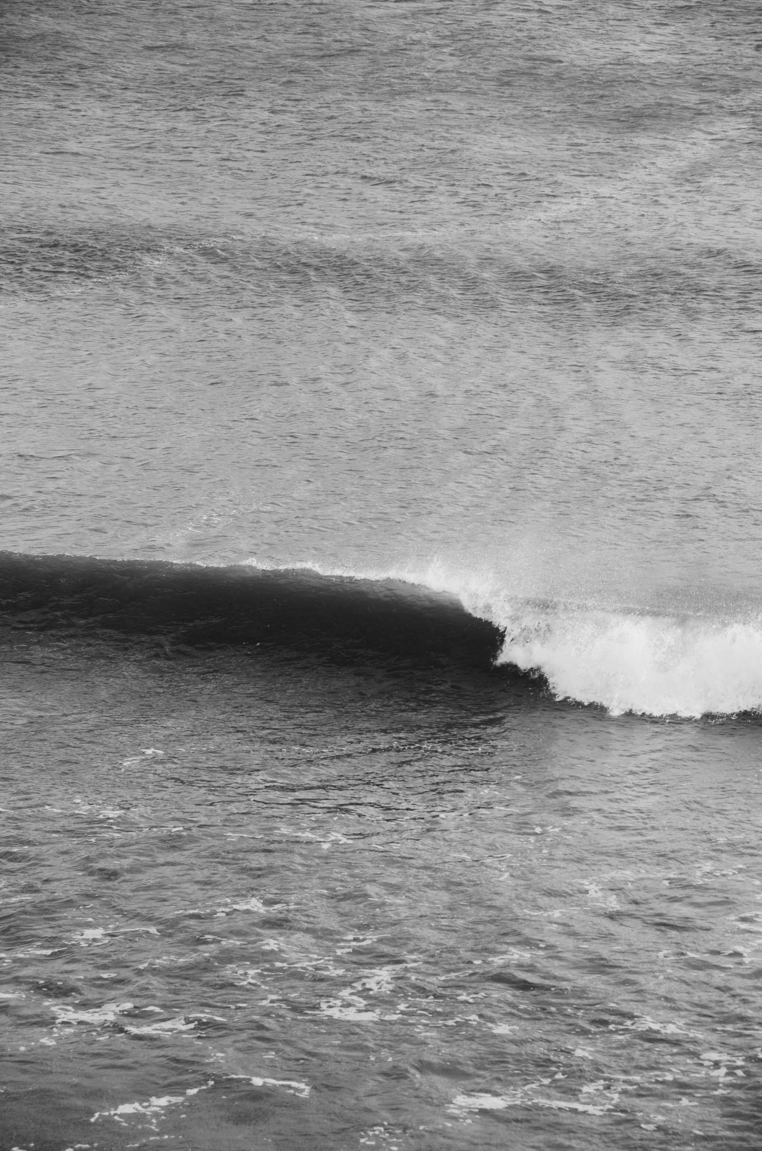 FC77E9B9-615B-4190-B2C3-253224022DF9.jpeg