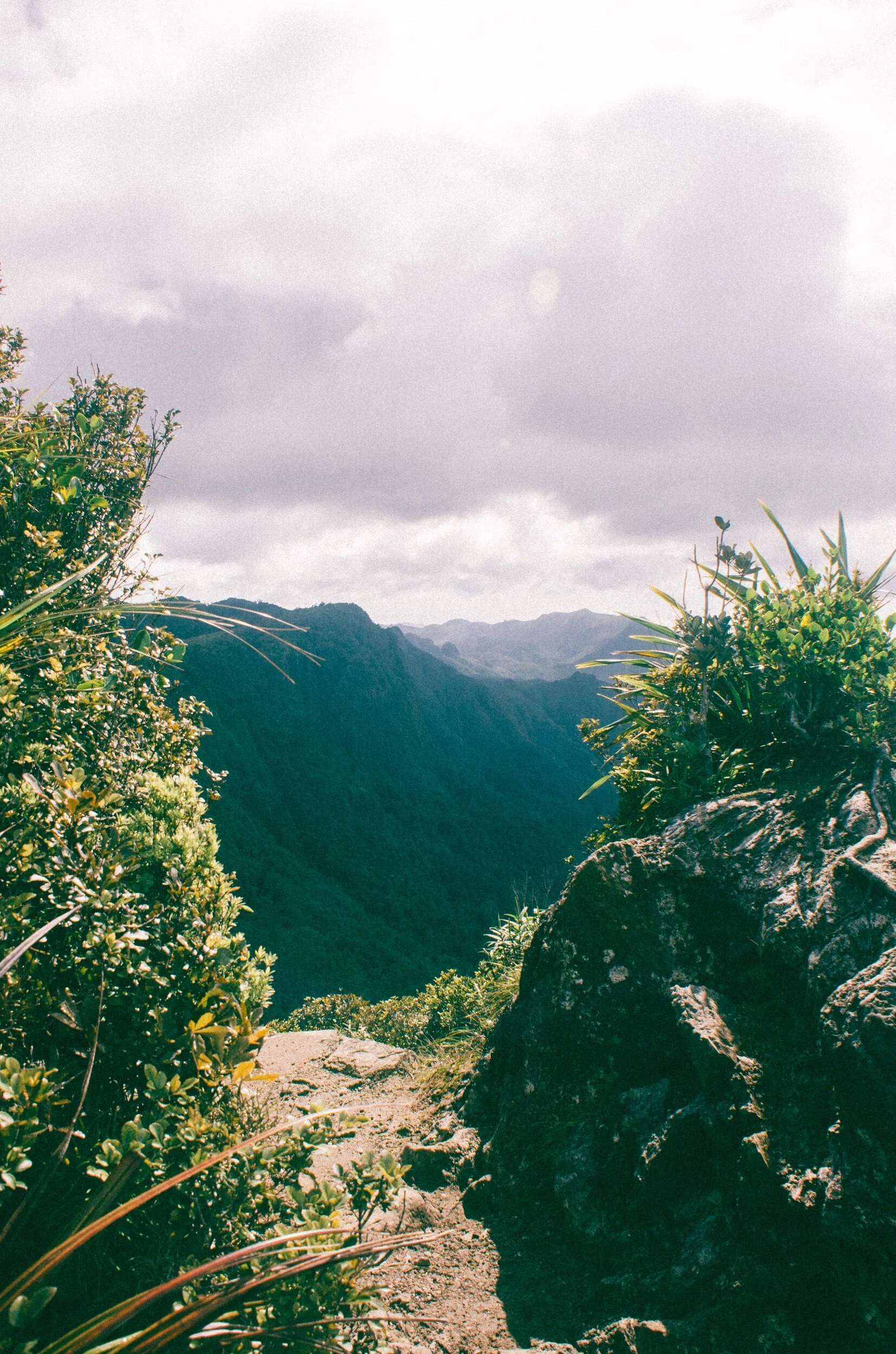 20160327-NEW ZEALAND MAGIC 6 day trip_0483lightroomedit.jpeg