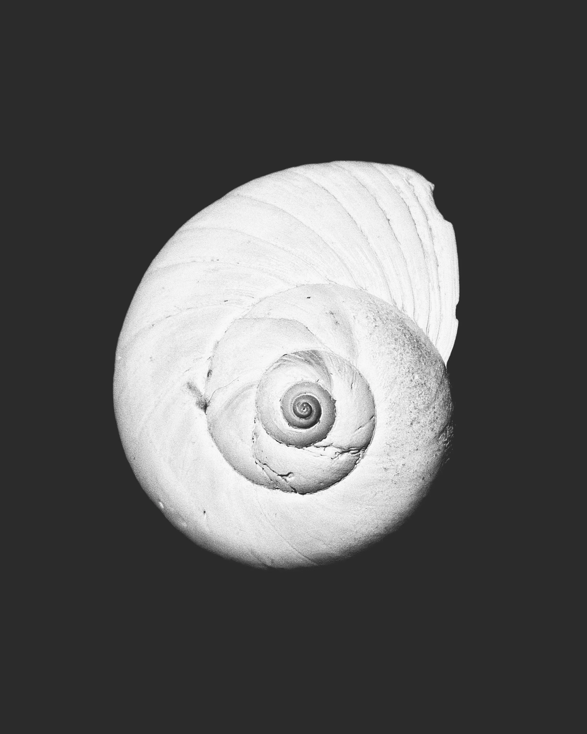 CA5F8A2A-3F47-43D7-9168-4E1A3ADD192E_VSCO.jpeg