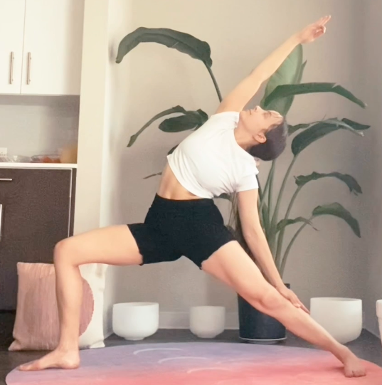 Screen Shot 2021-05-01 at 12.48.35 AM.png