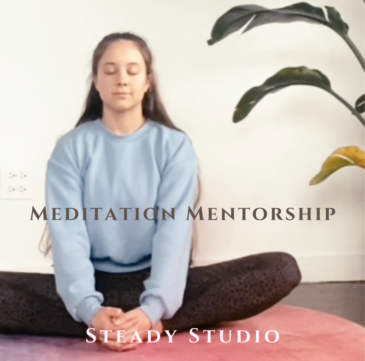 Meditation Mentorship 1.png