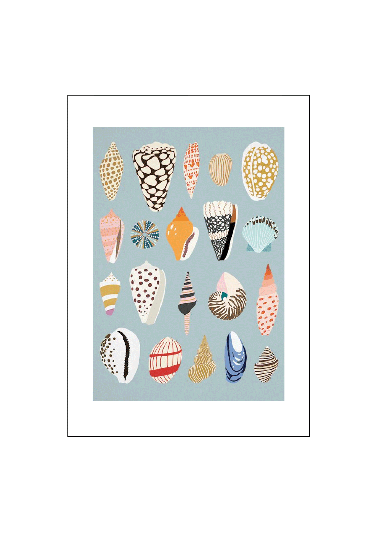 seashells.png