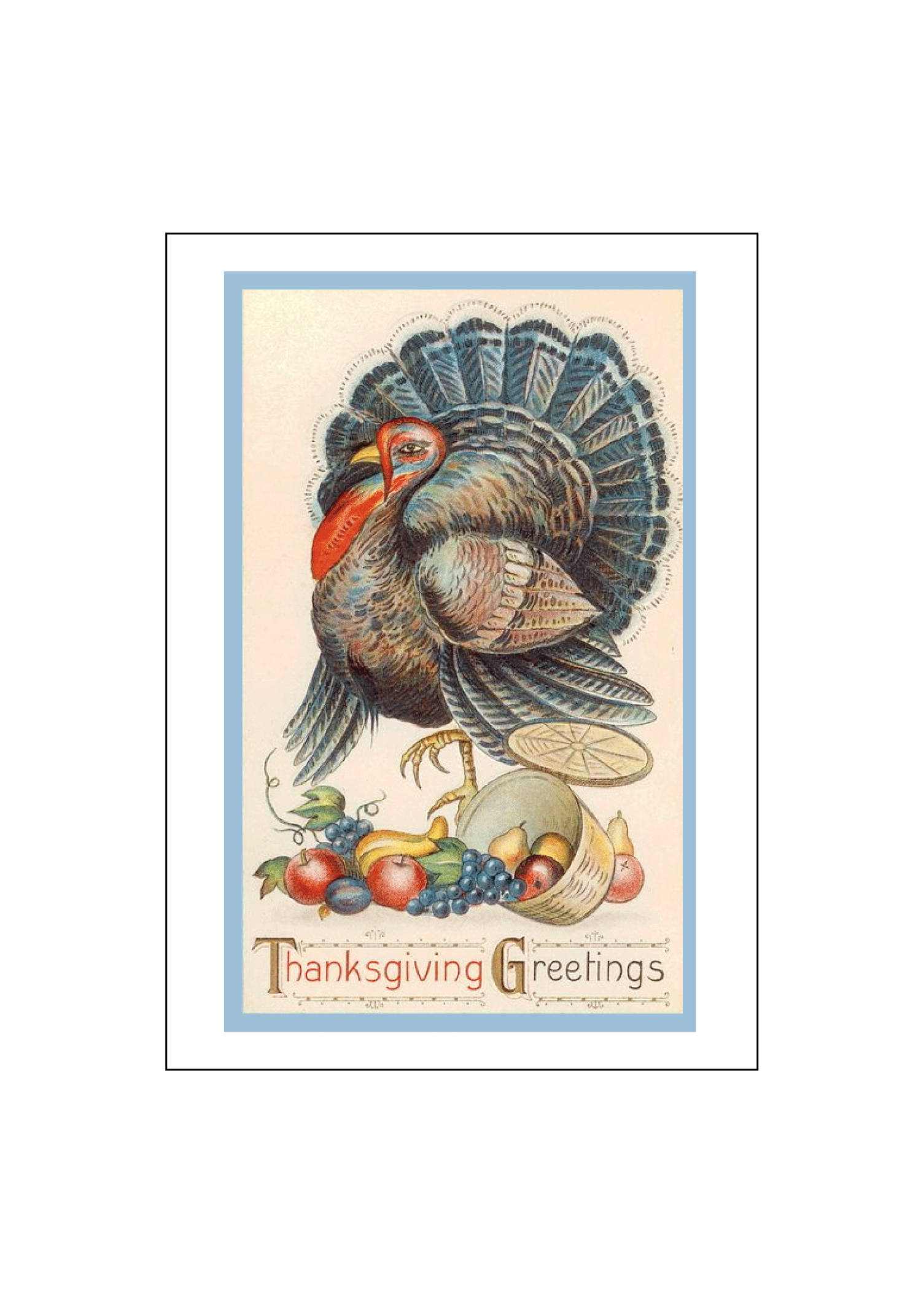 BlueTurkey.png