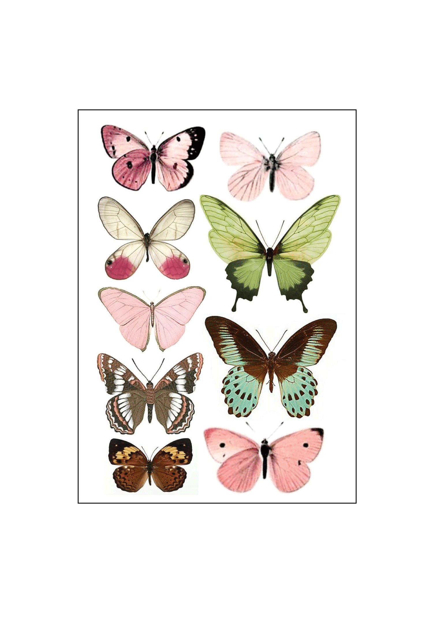 vintagebutterflys.png