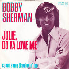 Bobby Sherman Lunch Box