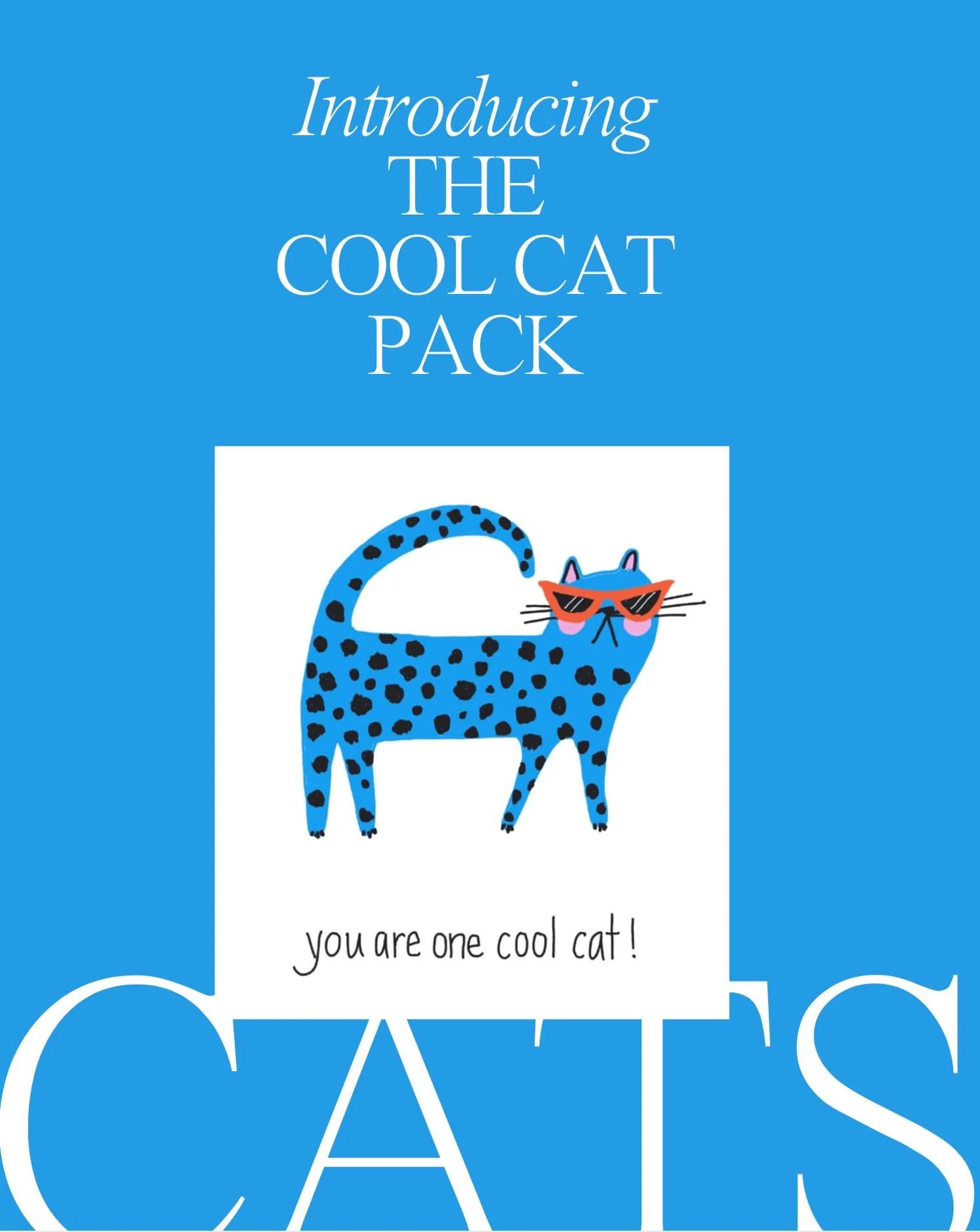 Know someone who is one cool cat? 😎 Our brand new Cool Cat pack is here &mdash; 8 cards, 4 designs, $18. Perfect for the cat lover in your life! Link in bio to shop. 🐱