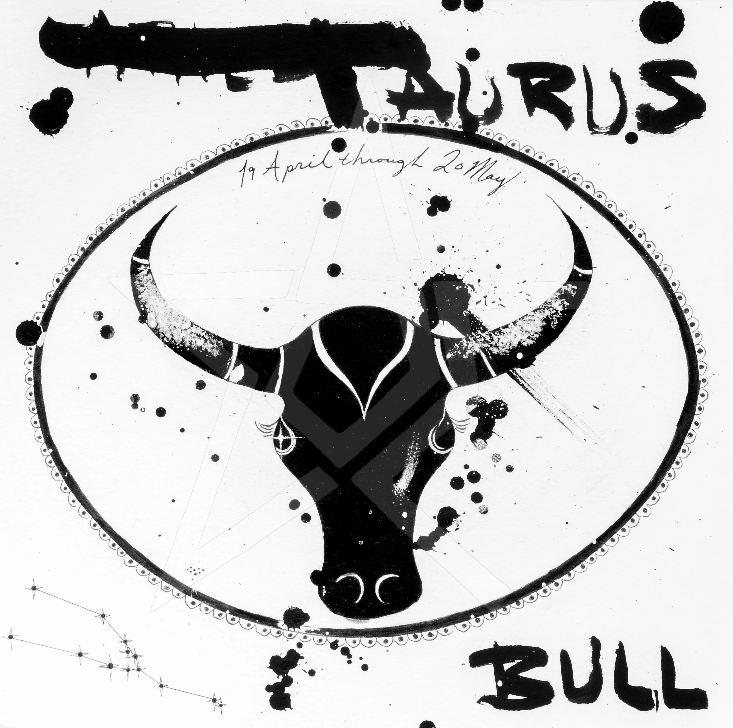 Taurus ink watermarked.jpg