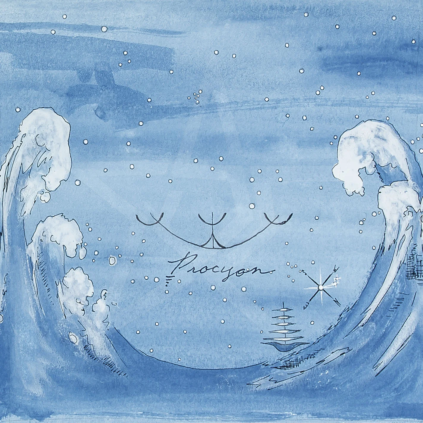 Procyon wm.jpg