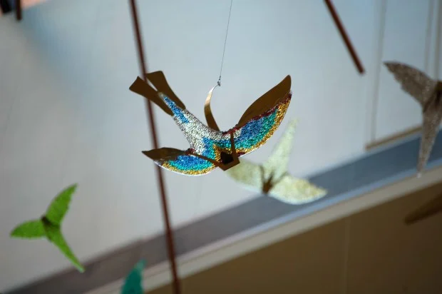 oddbirddetail.jpg