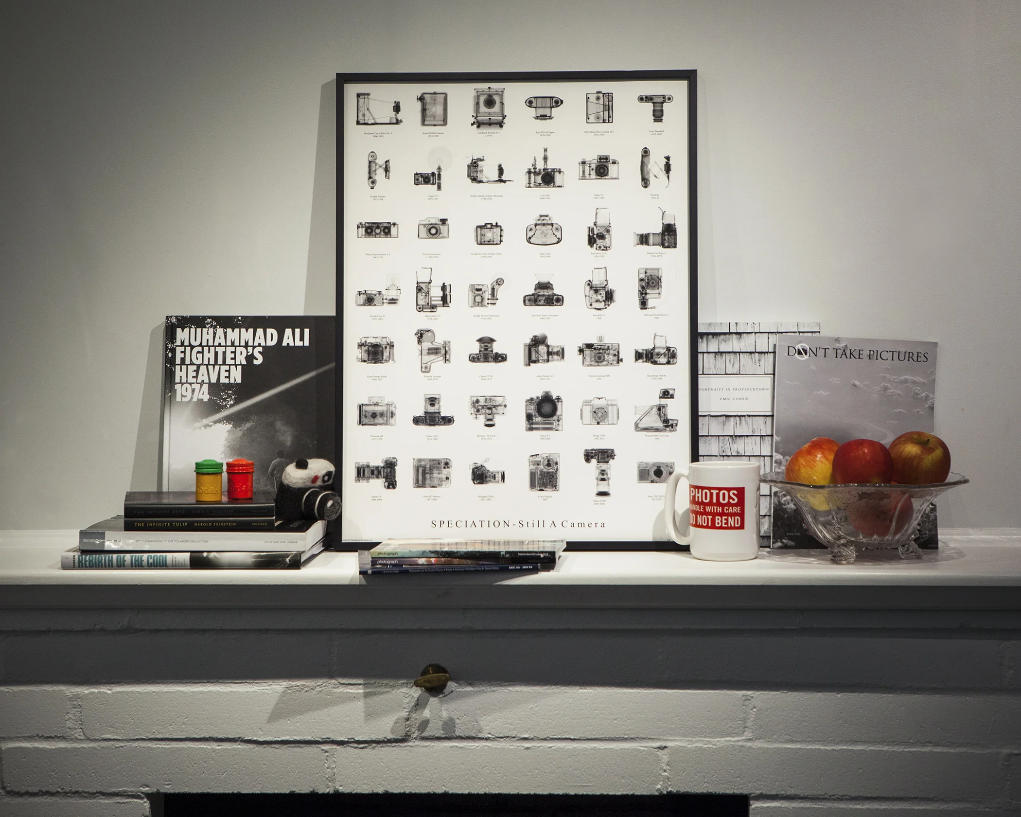 Typology Installation.jpg