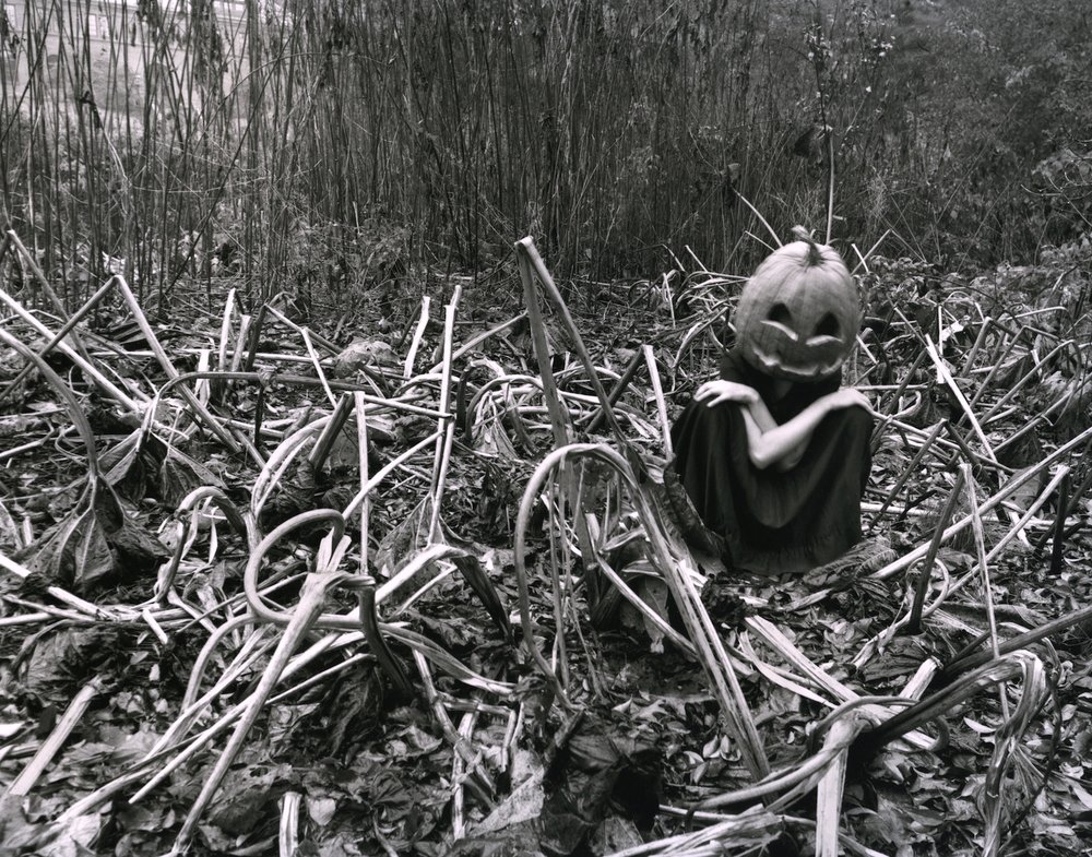  Agnieszka Sosnowska Self-portrait, Halloween, Arnold Arboretum 