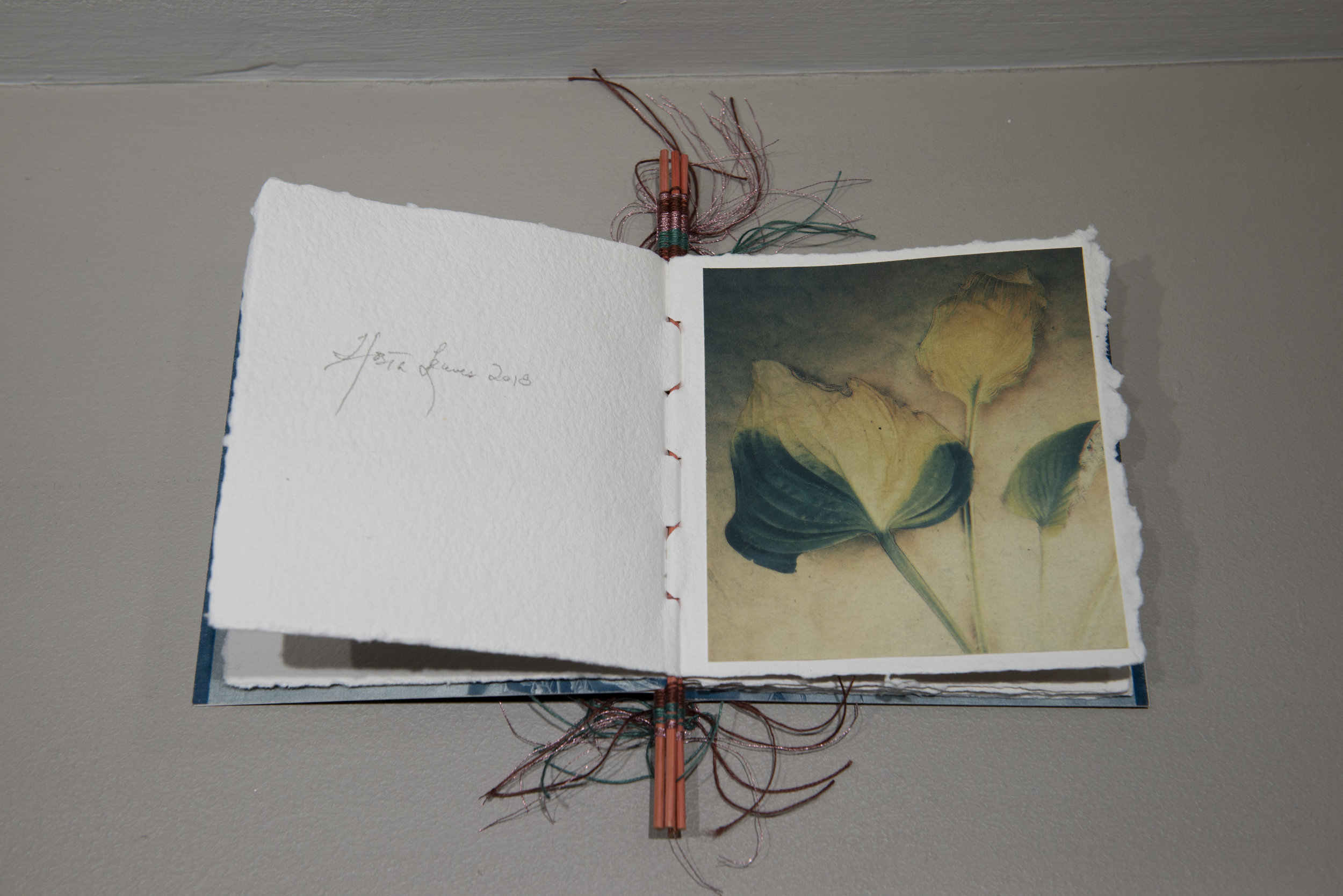 Bloomfield Artist Book.JPG