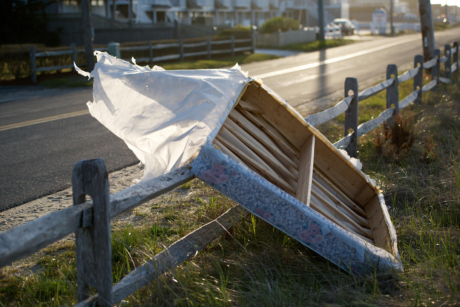 Brian Kaplan Box Spring.jpg