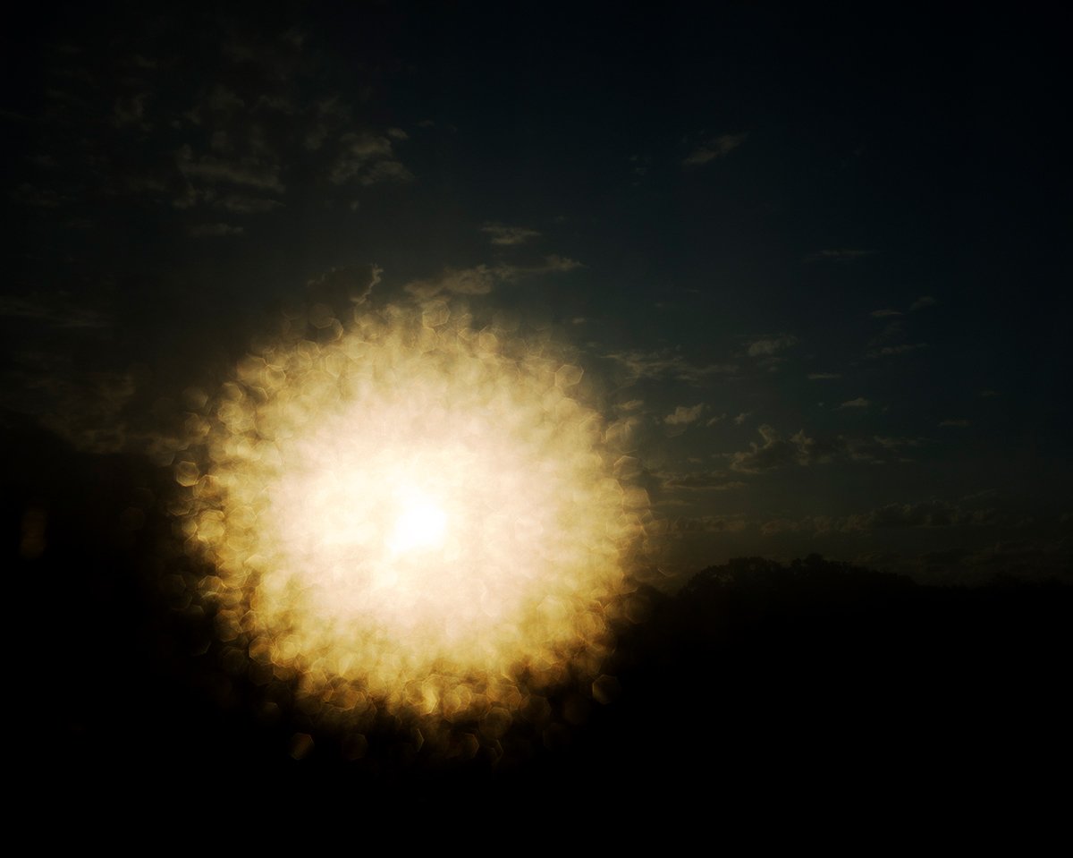 Lamb_Molly_Sun_3.jpg