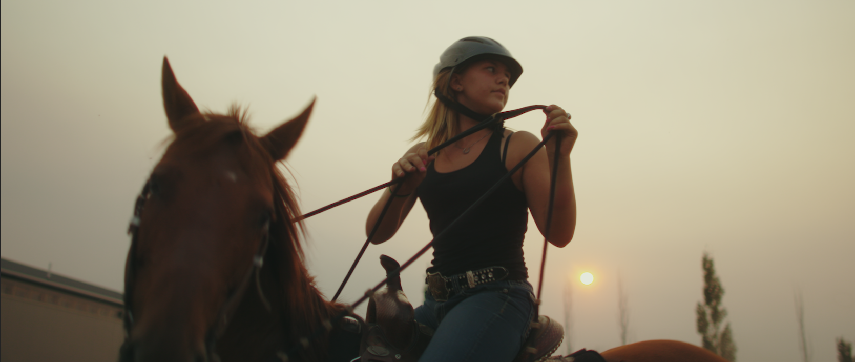 Screen Shot 2017-09-28 at 6.57.35 AM.png