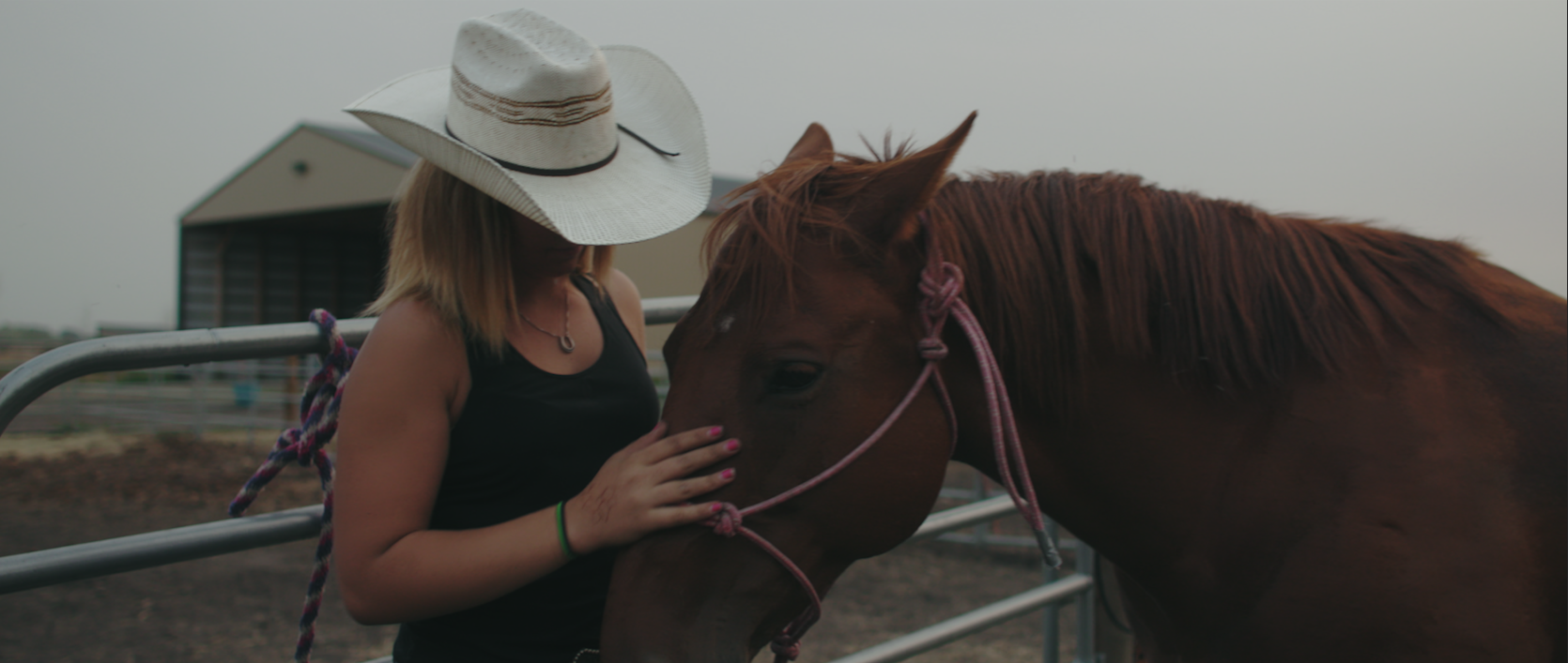 Screen Shot 2017-09-28 at 7.00.39 AM.png