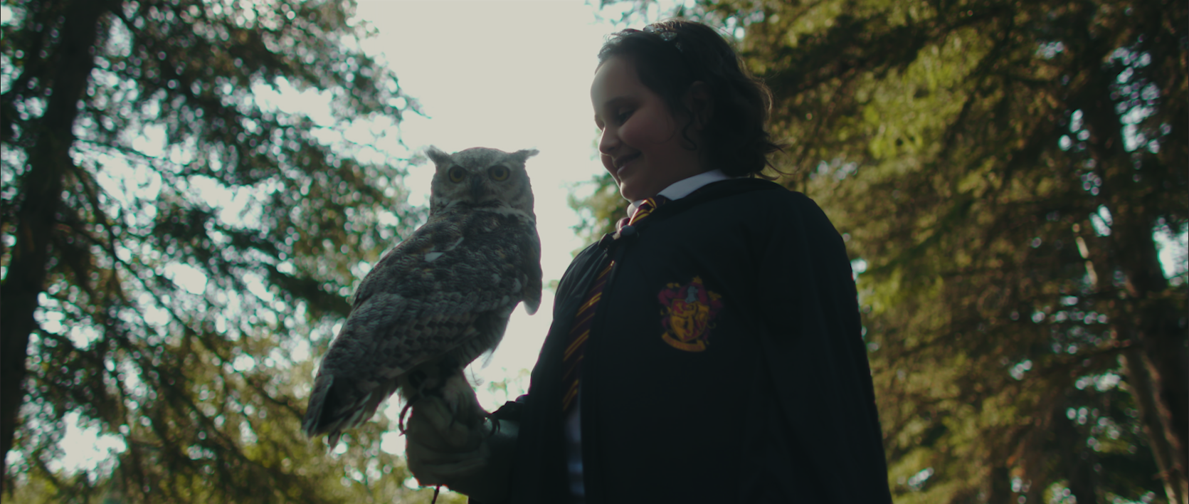 Screen Shot 2017-09-28 at 7.03.10 AM.png