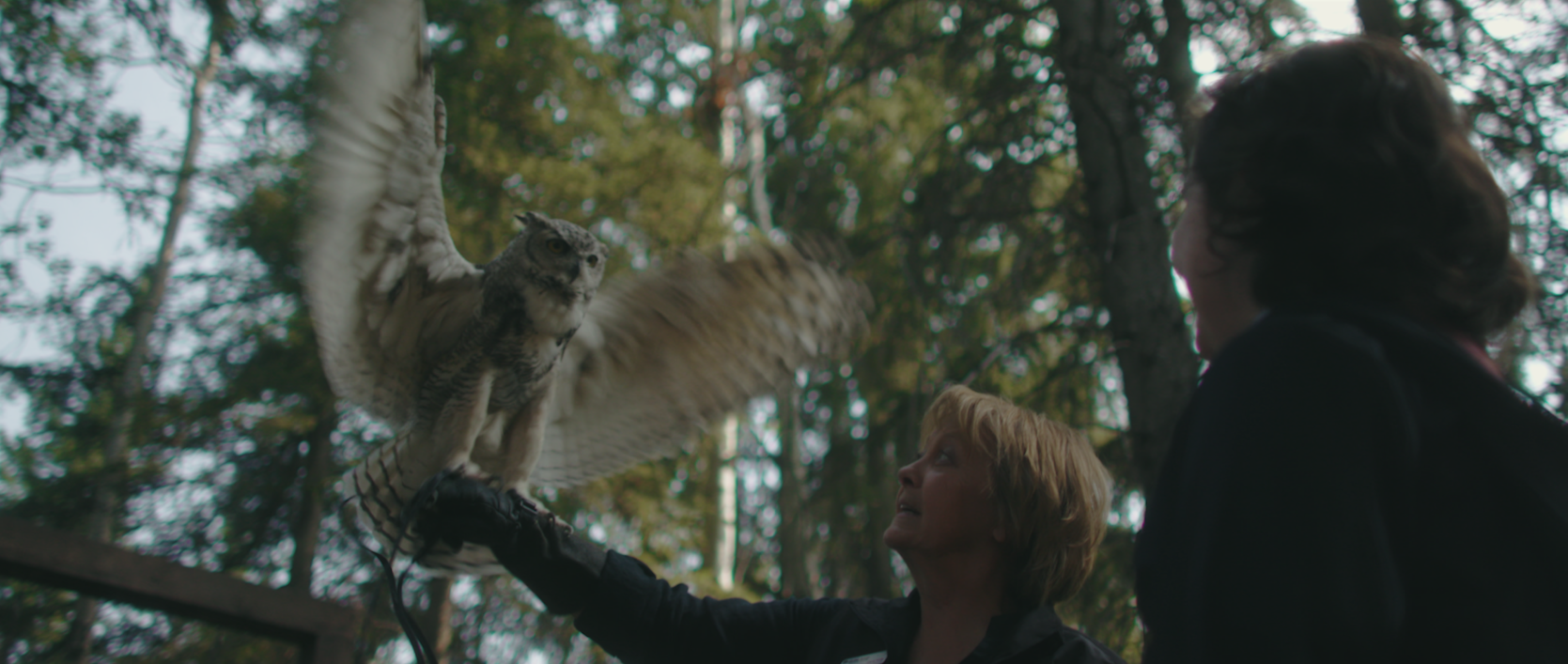 Screen Shot 2017-09-28 at 7.17.59 AM.png