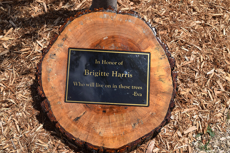  This plaque was dedicated in Brigitte’s honor by her friend Eva von Voss, who also supported Oakland Family Services as a volunteer and member of the Friends. 