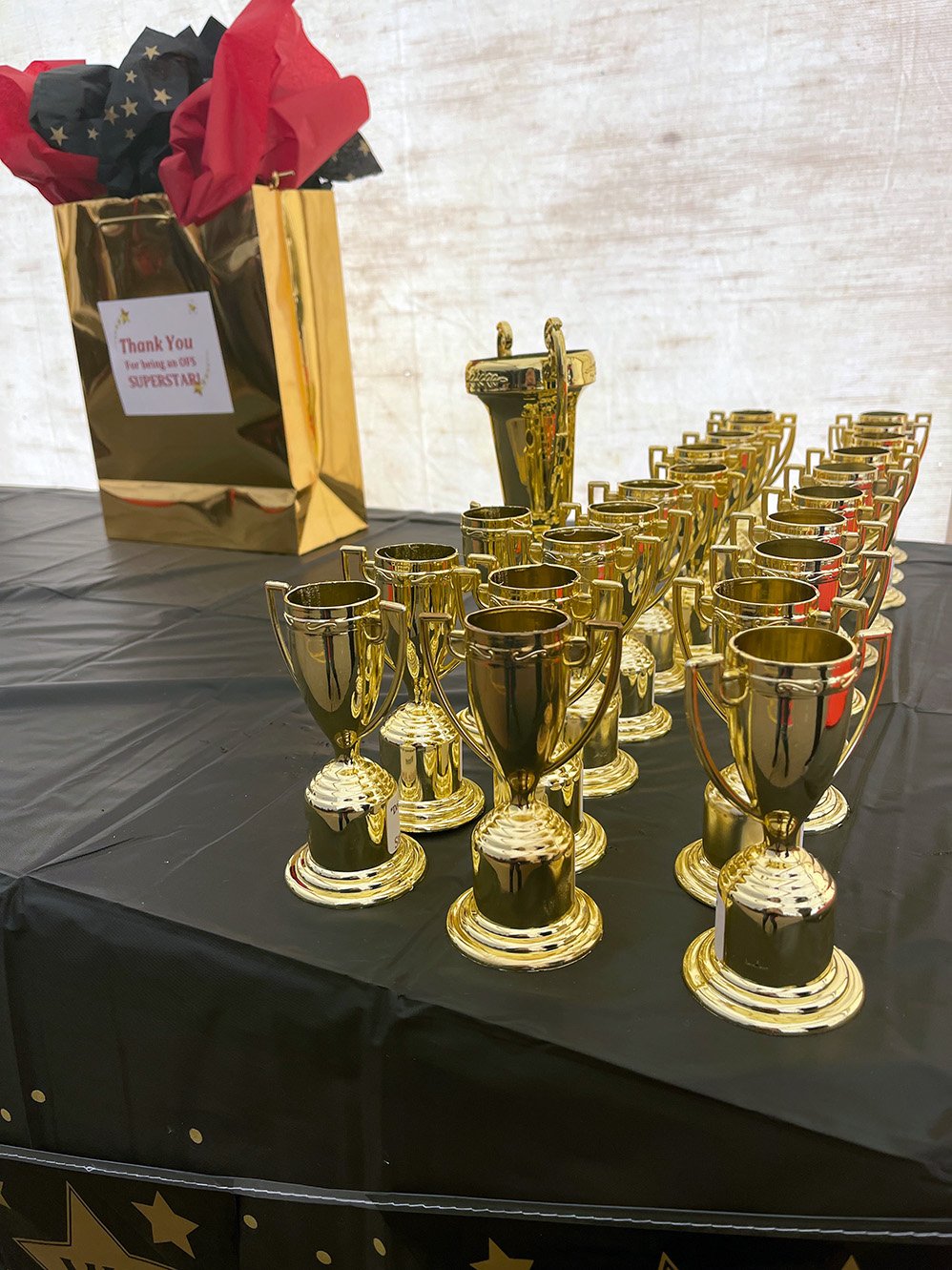  Cultural Difference Maker Award trophies 
