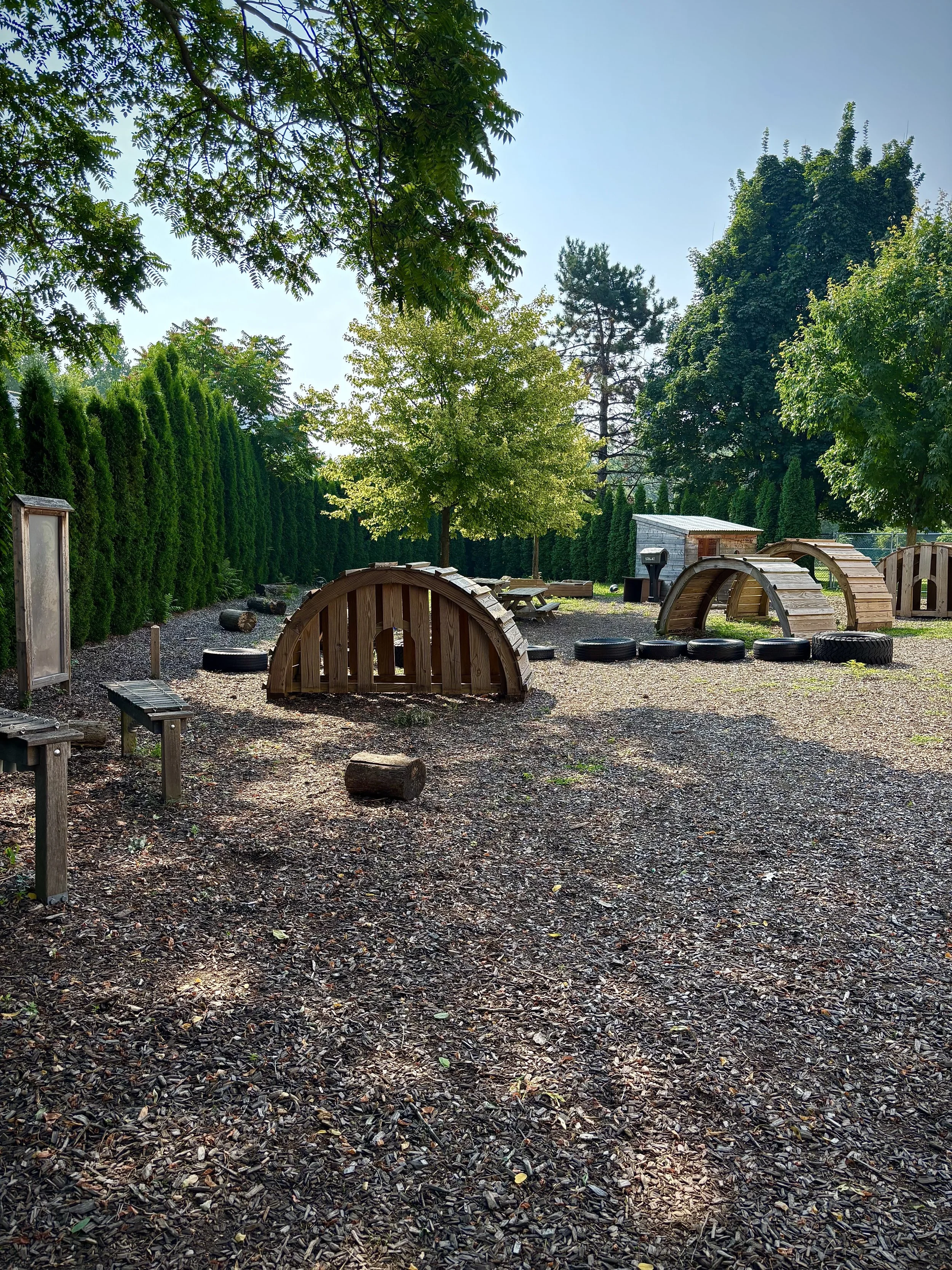 Natural Playground Stimulates Children's Imagination and Creativity