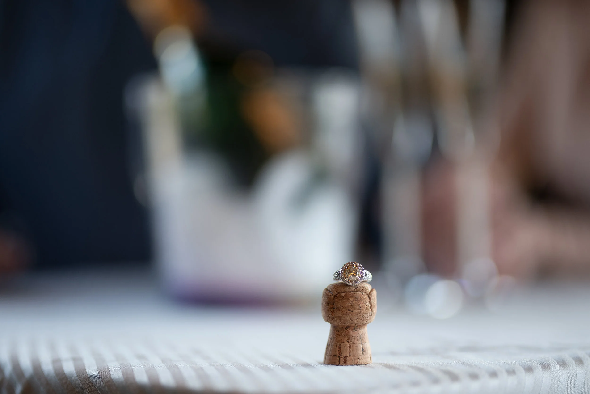 engagement ring photo