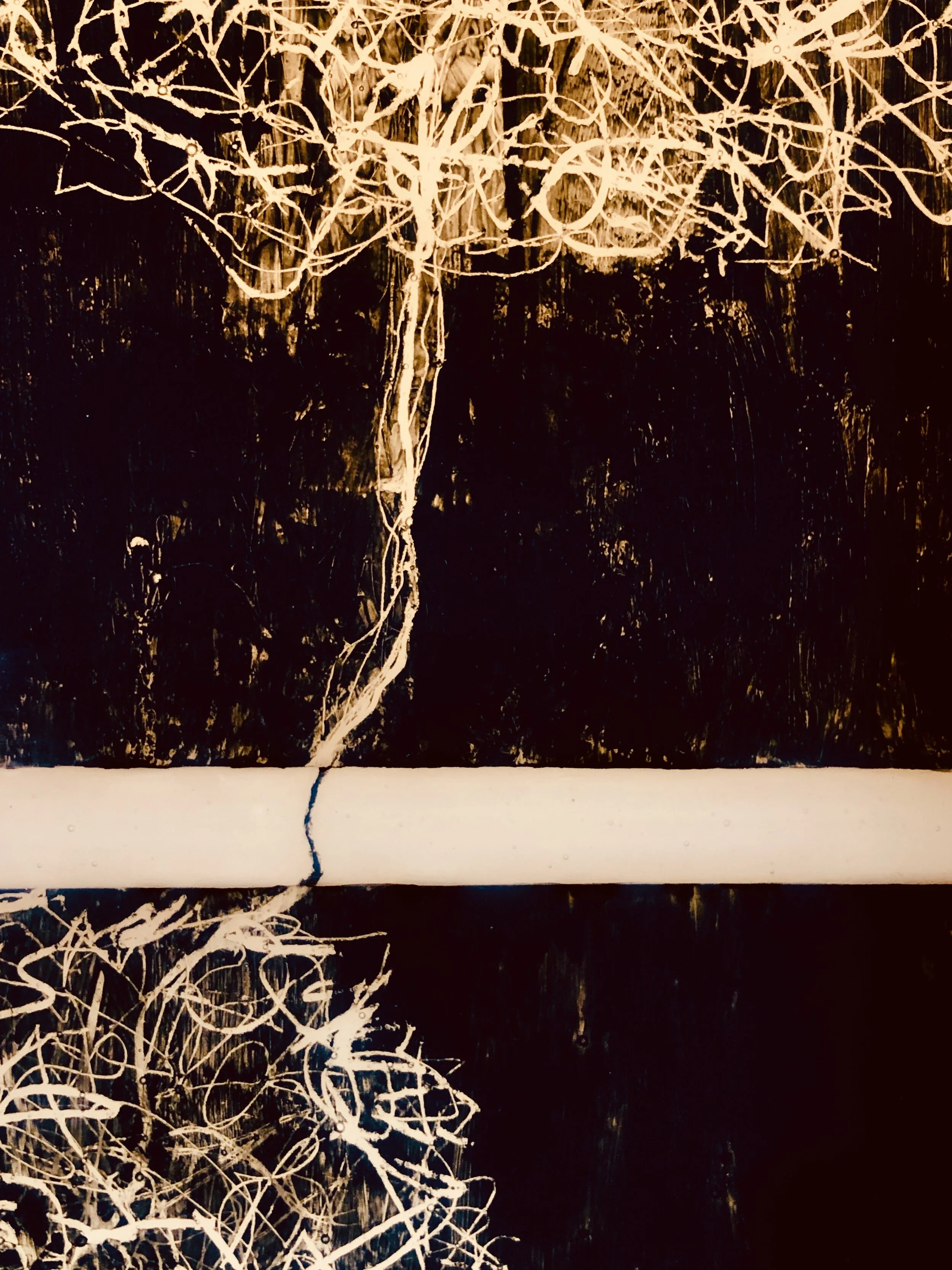  Diagnosis (detail)  Kilnformed glass, brushed black enamel, sgafitto  29.5” x 8.5” x .25”  2019 