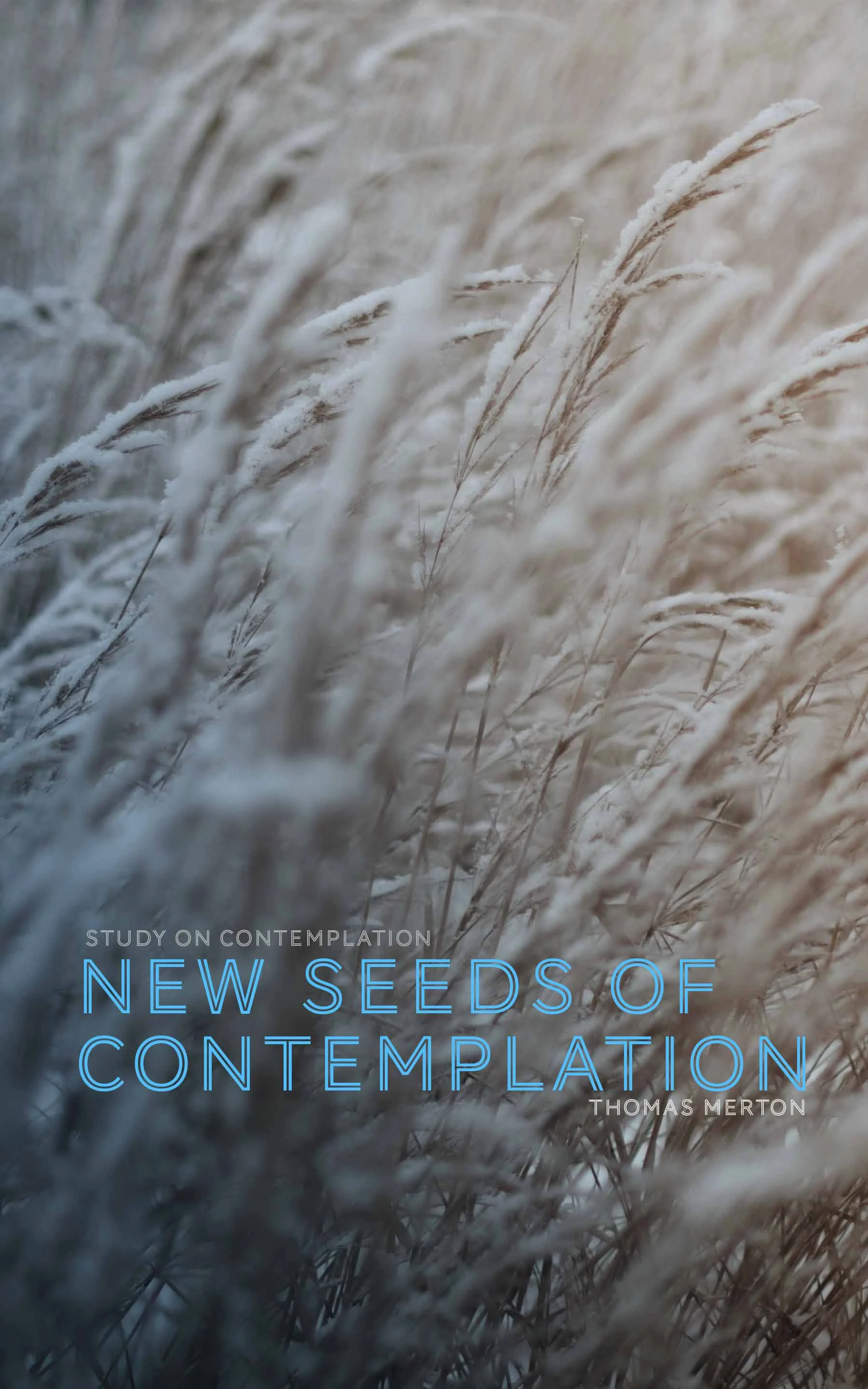 stf-new-seeds.jpg