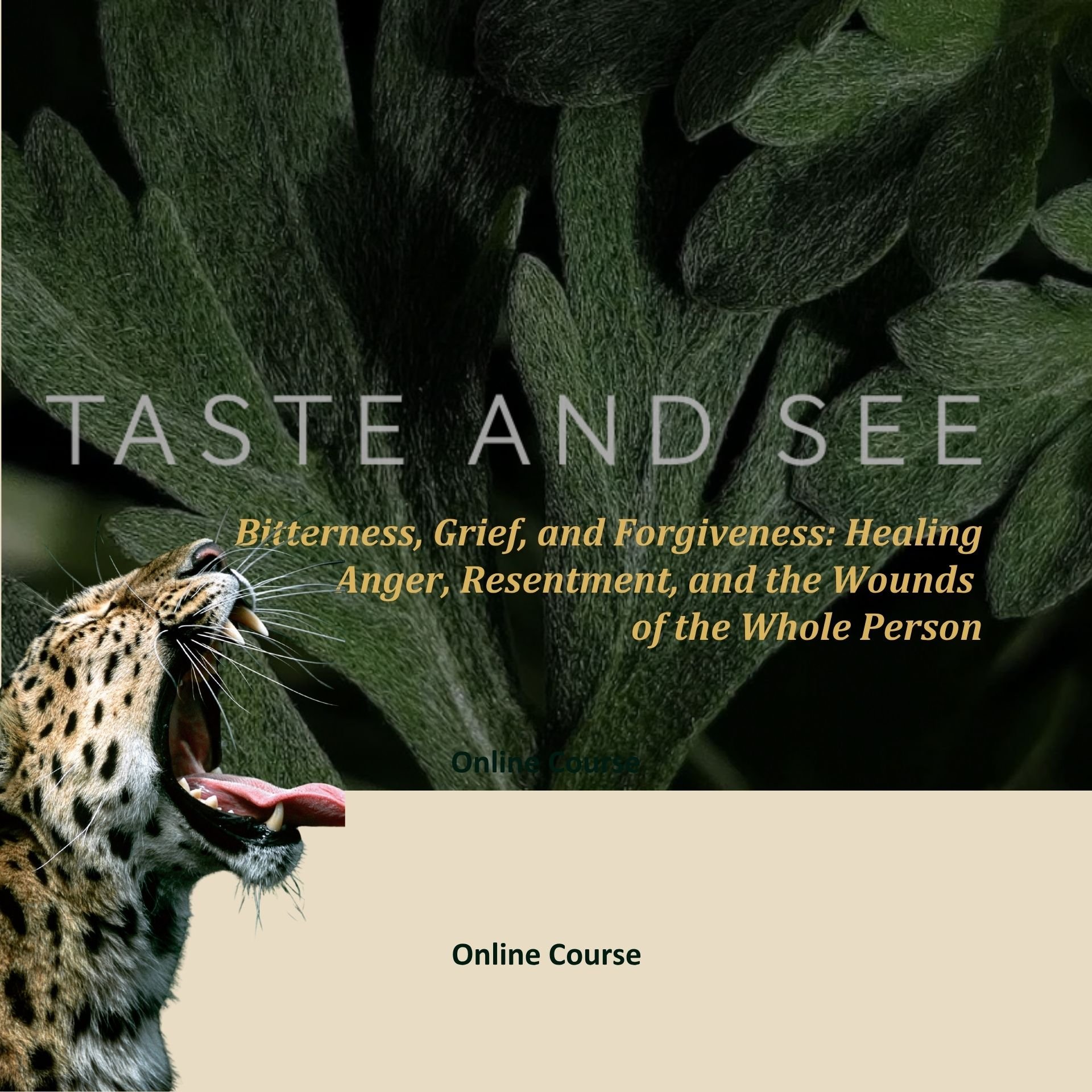 Taste and See: From Bitterness to Generosity