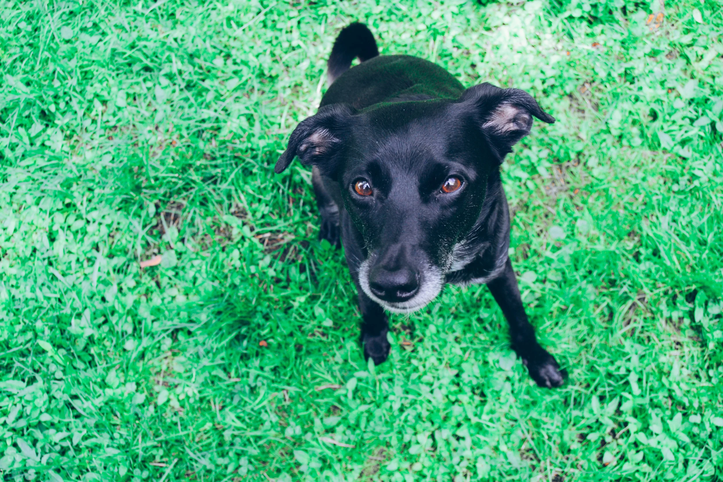 4 Years of Adventures