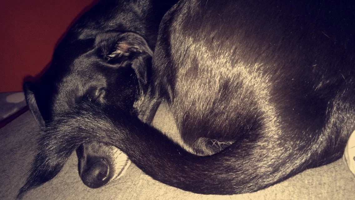 4-years-adventures-photo