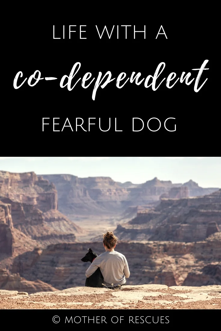 Life With a CoDependent Dog — Mother of Rescues