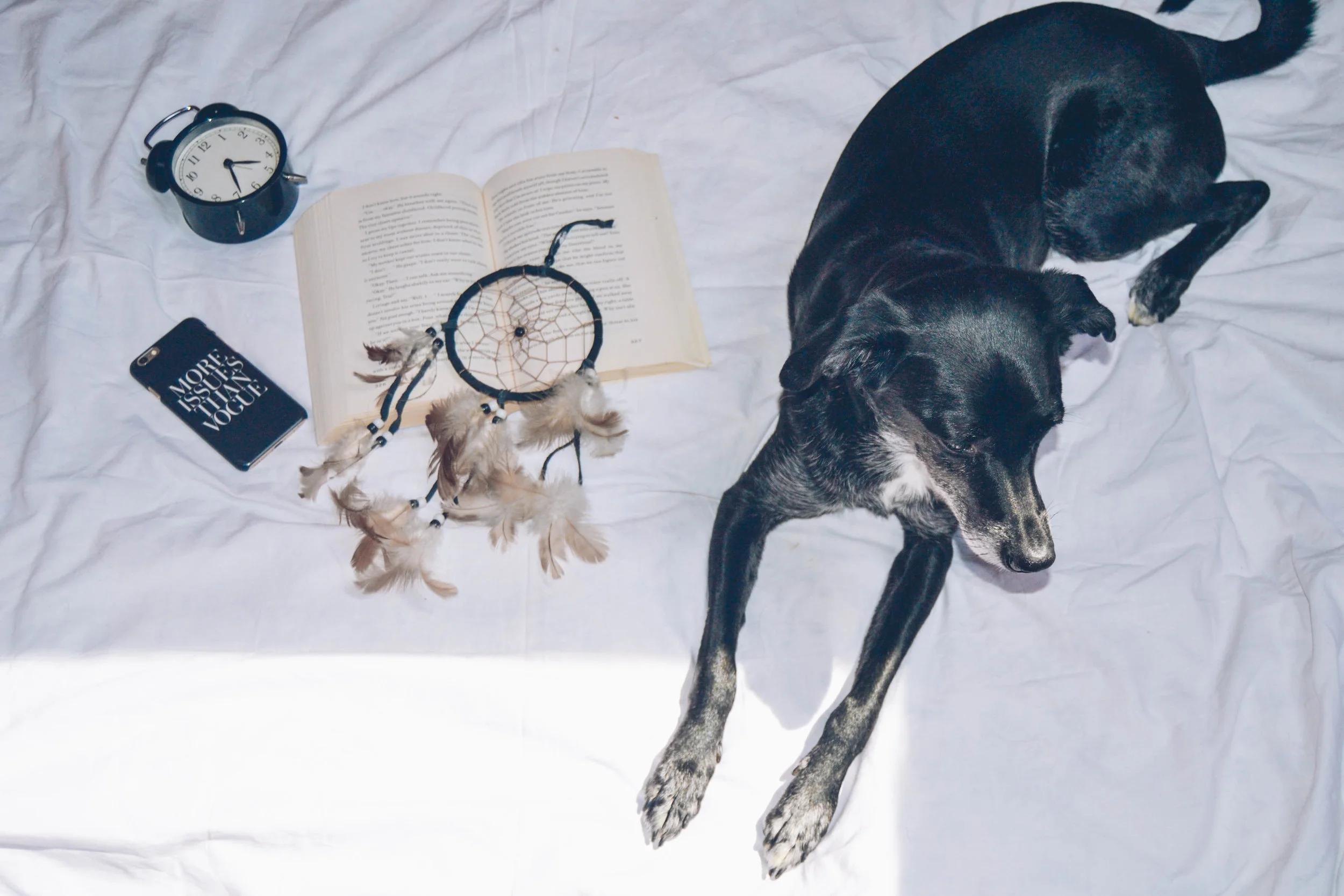 early-graying-flatlay.jpg