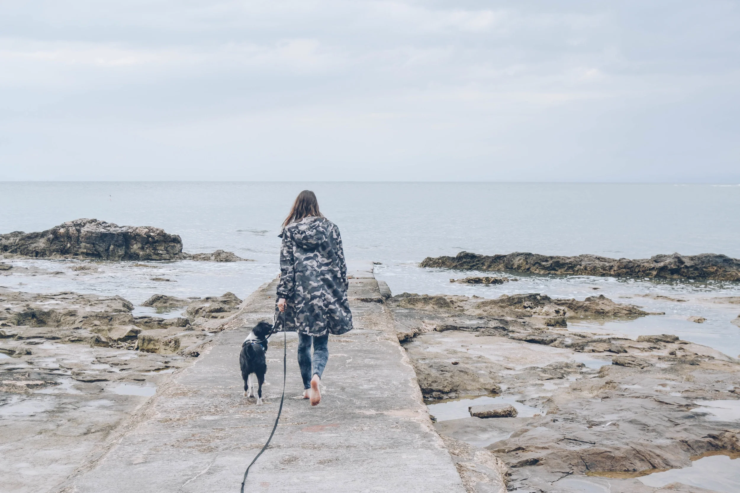 dog-training-undermined