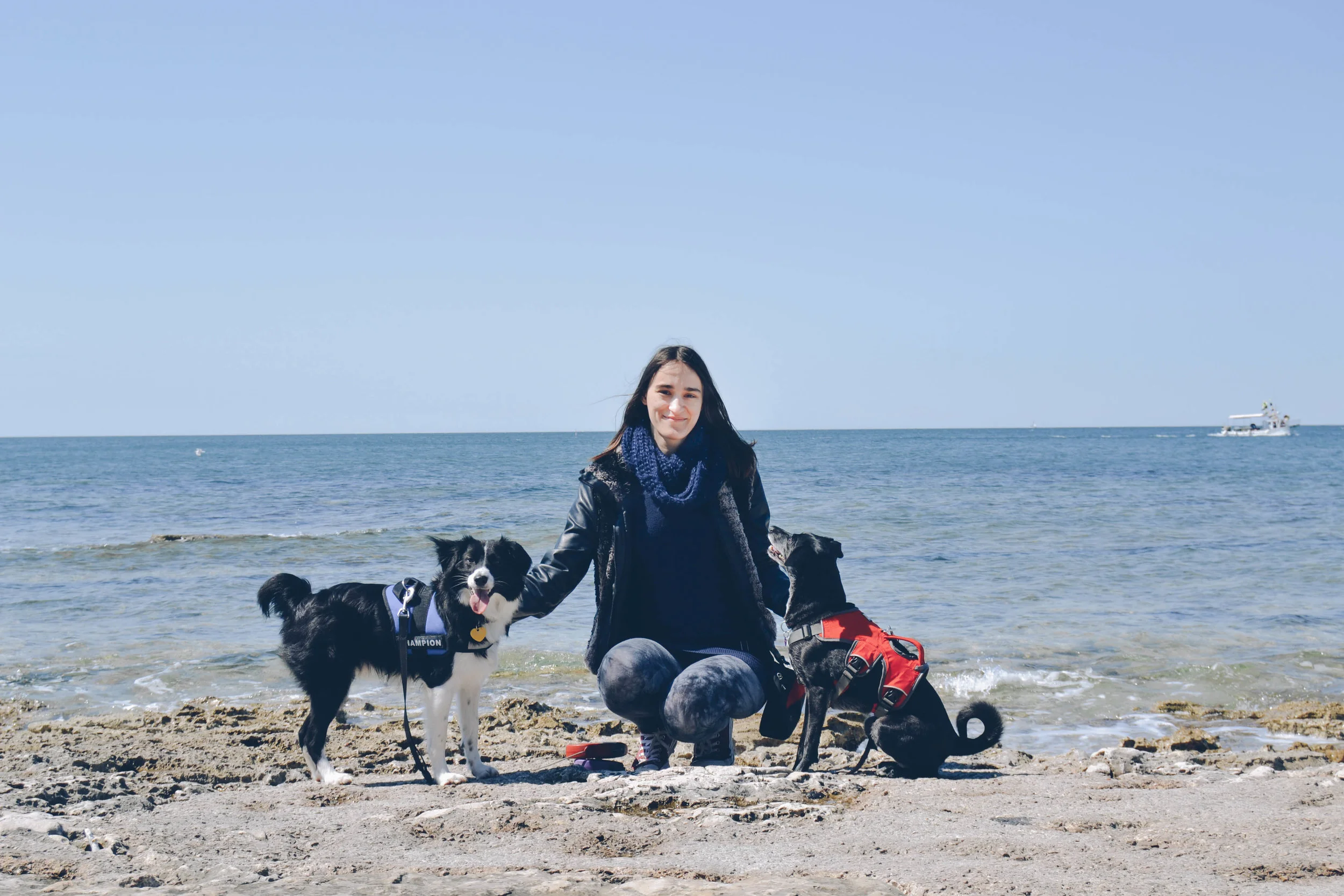 luna-and-dogs-lessons