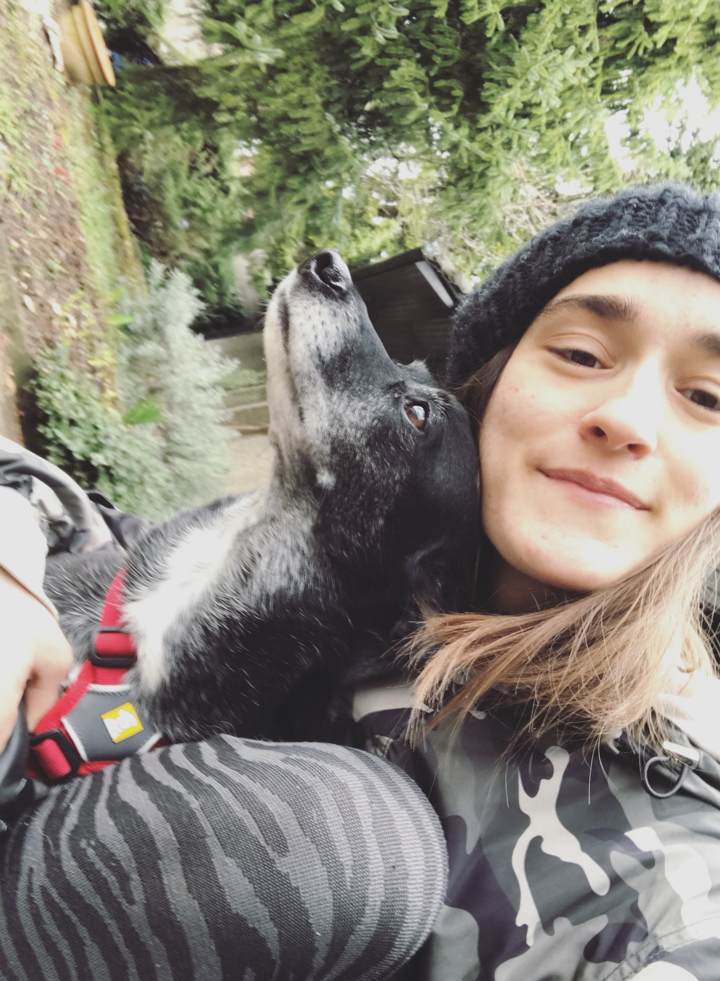 Bailey-and-luna.jpg