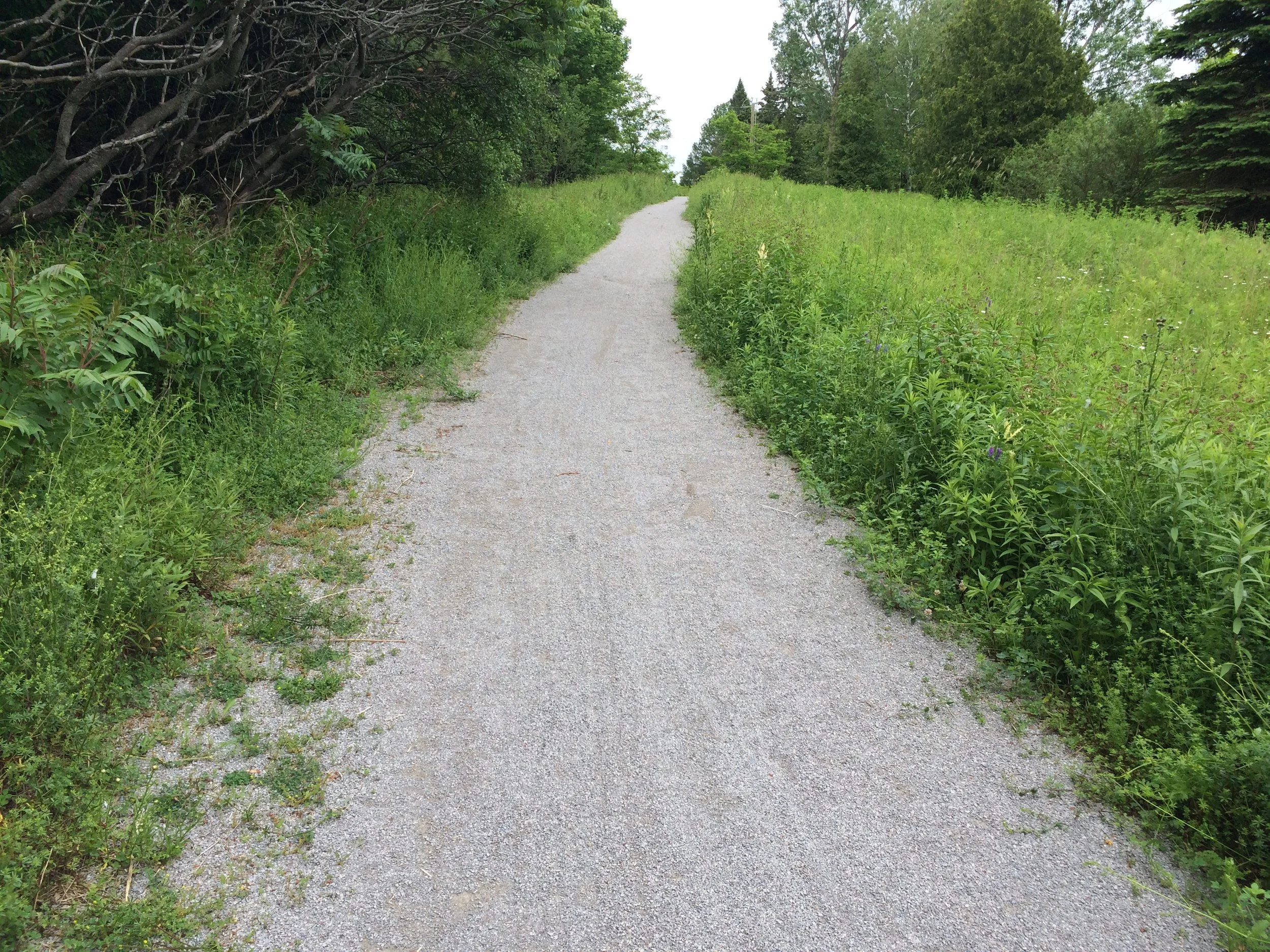 It turns out that pavement is one of those things that you don’t appreciate until it’s gone. The trail I took went from a paved bike path, to a forest trail, to a narrow bike shoulder on the side of a regular road.