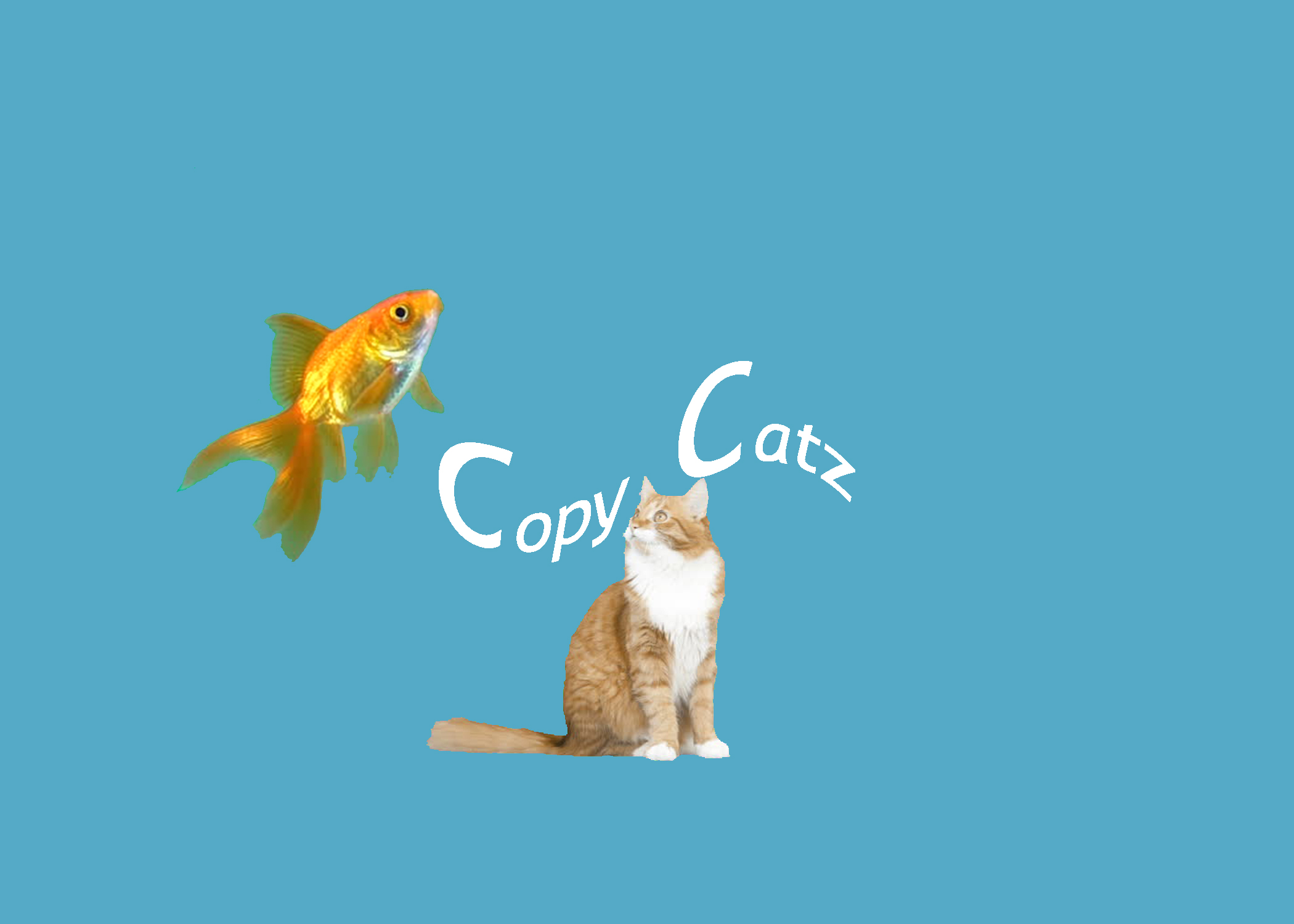 COPYCATZ