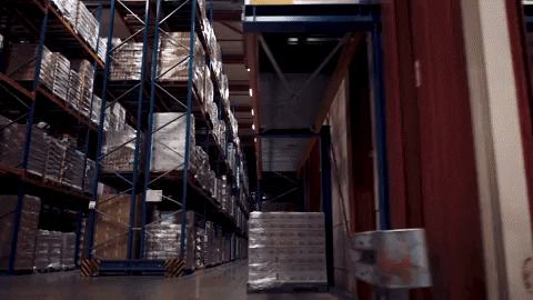 giphy (2).GIF