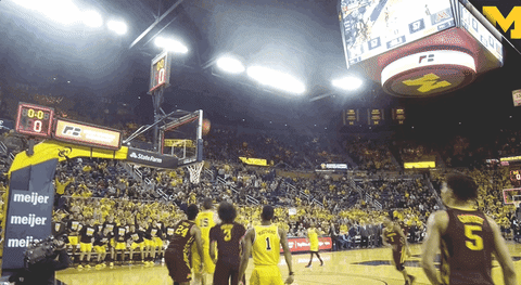 giphy (35).GIF