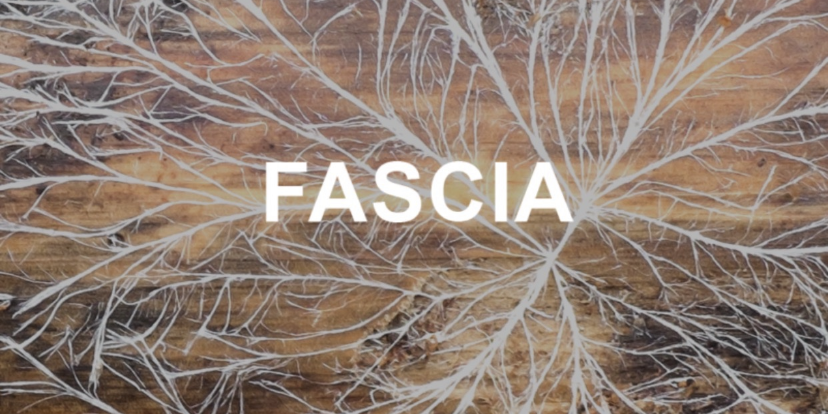 FASCIA.png